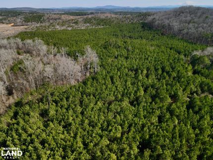 Timberland Property for sale in Shelby County, Alabama