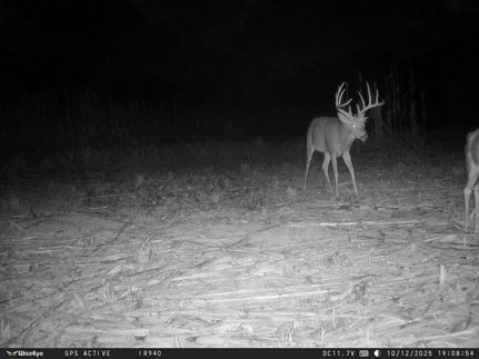 Farm and Ranch for sale in Brown County, Illinois