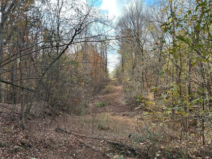Timberland Property for sale in Yazoo County, Mississippi
