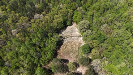 Hunting Property for sale in Hardeman County, Tennessee