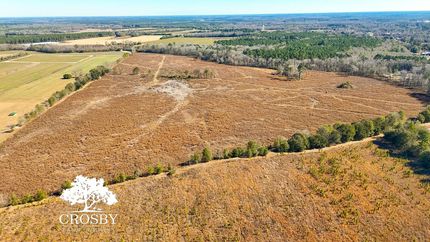 Land for sale in Bamberg County, South Carolina