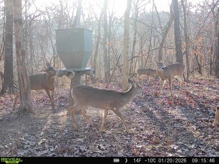 Recreational Property for sale in Gallia County, Ohio