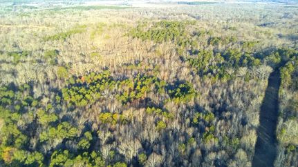 Undeveloped Land for sale in Grenada County, Mississippi