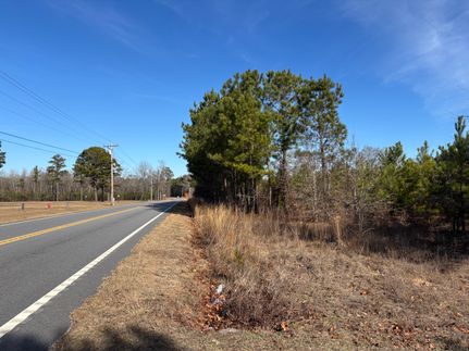 Timberland Property in Marlboro County, South Carolina