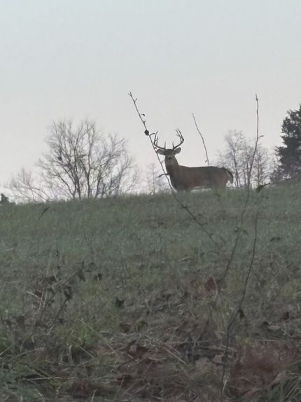 Recreational Property for sale in Johnson County, Illinois