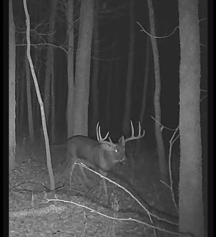 Timberland Property for sale in Clay County, Illinois