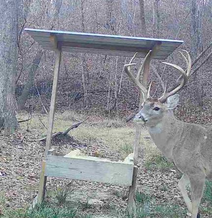 Commercial Property for sale in Winston County, Mississippi