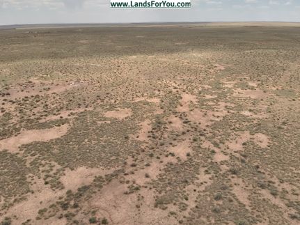 Land for sale in Navajo County, Arizona