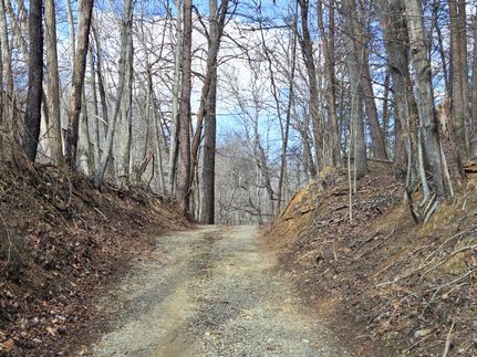 Timberland Property for sale in Franklin County, Virginia