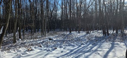 Timberland Property for sale in Carbon County, Pennsylvania