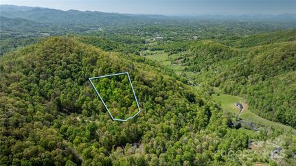 Undeveloped Land for sale in Madison County, North Carolina