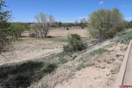 Homesite for sale in Montezuma County, Colorado