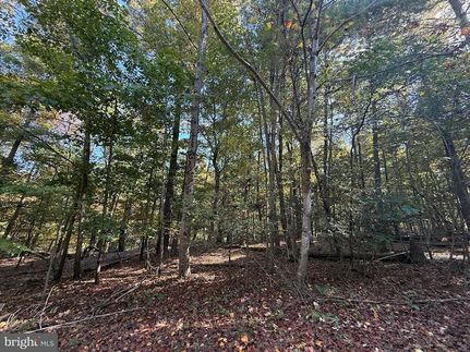 Undeveloped Land for sale in Frederick County, Virginia
