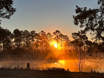 Land for sale in Candler County, Georgia