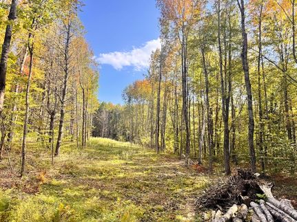Homesite for sale in Cumberland County, Maine