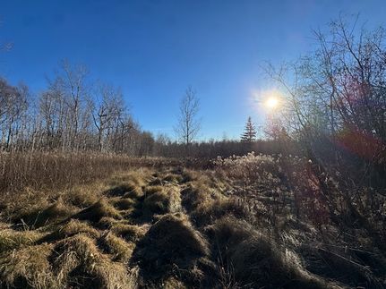 Farm and Ranch for sale in Saint Louis County, Minnesota