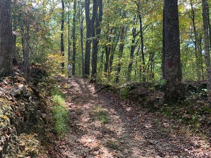 Land for sale in Estill County, Kentucky