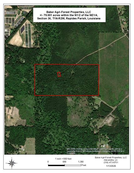 Undeveloped Land for sale in Rapides Parish, Louisiana