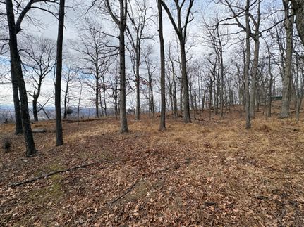 Land for sale in Hardy County, West Virginia