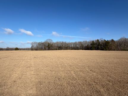 Land for sale in Fayette County, Tennessee