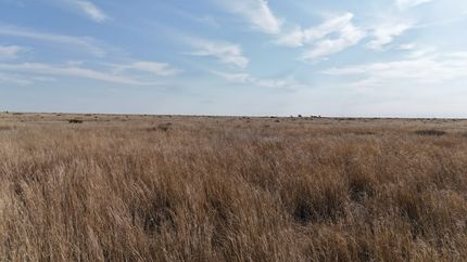 Land for sale in Bailey County, Texas