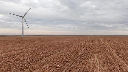 Land for sale in Cochran County, Texas