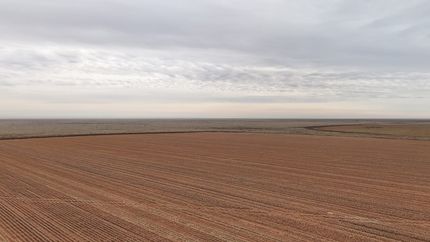 Undeveloped Land for sale in Cochran County, Texas