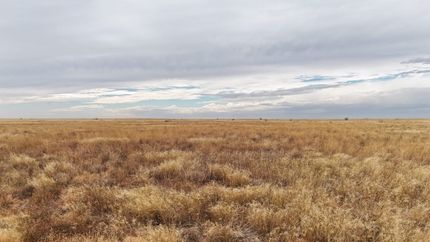 Hunting Property for sale in Gaines County, Texas