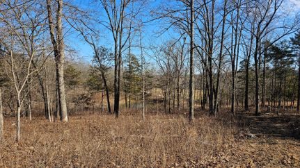 Hunting Property for sale in Ozark County, Missouri
