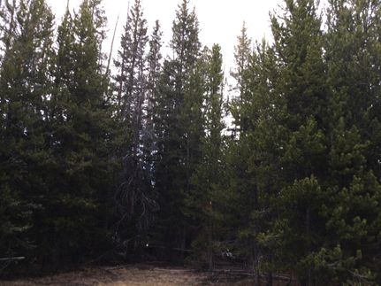 Undeveloped Land for sale in Carbon County, Wyoming