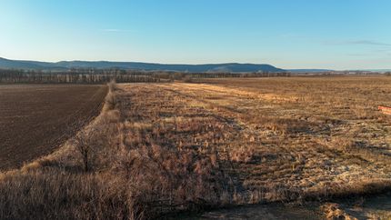 Undeveloped Land for sale in Yell County, Arkansas