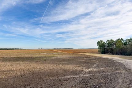 Land for sale in Calhoun County, South Carolina
