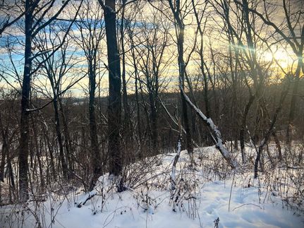 Land for sale in Jackson County, Wisconsin