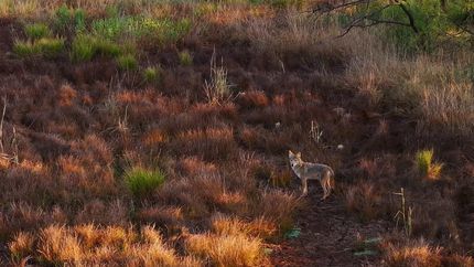 Recreational Property for sale in Young County, Texas