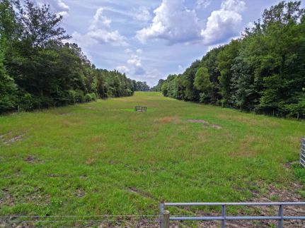 Farm and Ranch for sale in Noxubee County, Mississippi