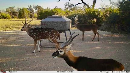 Recreational Property for sale in Mills County, Texas