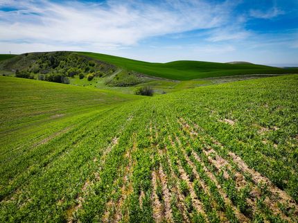 Land for sale in Walla Walla County, Washington