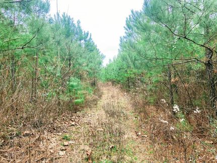 Land for sale in Nevada County, Arkansas