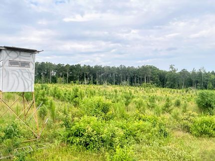 Hunting Property for sale in Nevada County, Arkansas