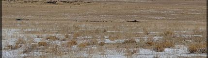 Undeveloped Land for sale in Park County, Colorado