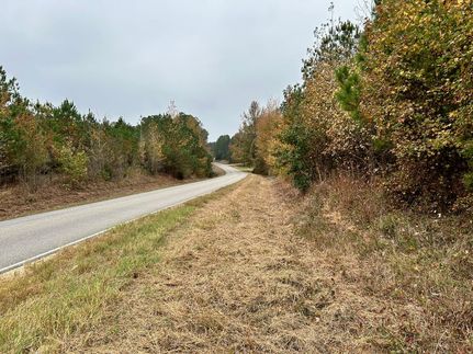 Undeveloped Land for sale in Lamar County, Alabama