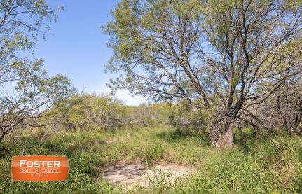 Farm and Ranch for sale in San Patricio County, Texas