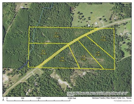 Undeveloped Land for sale in Tyler County, Texas