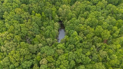 Undeveloped Land for sale in Hickman County, Tennessee