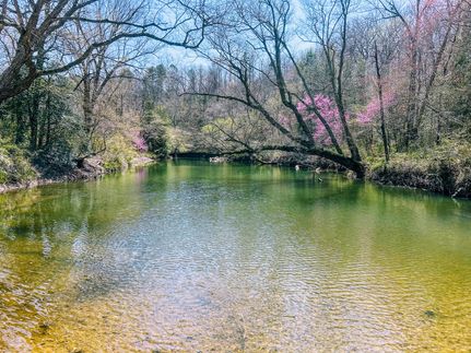 Farm and Ranch for sale in McCurtain County, Oklahoma