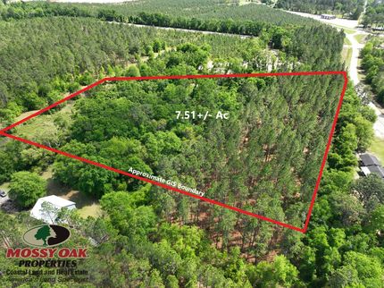 Timberland Property for sale in Pierce County, Georgia