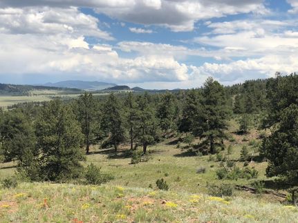 Homesite for sale in Park County, Colorado