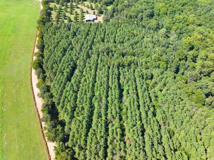 Hunting Property for sale in Sevier County, Arkansas