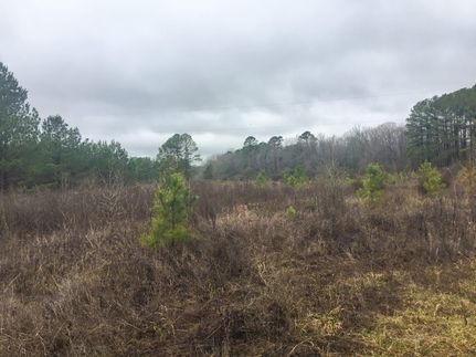 Land for sale in Garland County, Arkansas