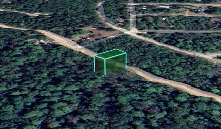 Undeveloped Land for sale in Trinity County, Texas